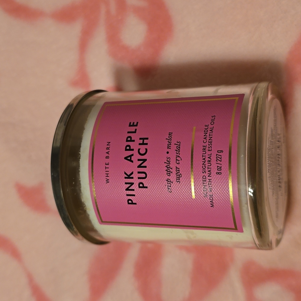 BNWT Bath and Body Works Pink Apple Punch single wick candle